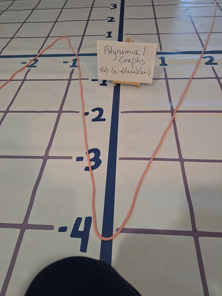 Polynomial Graphs